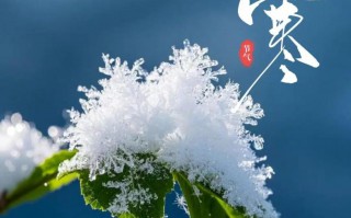 今日大寒：天气渐回暖，静待来年春天