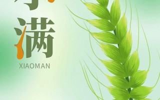 今日小满：微雨过，小荷翻，初夏至