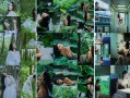 告别表情焦虑！不露脸也能拍出电影感大片