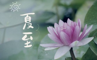 今日夏至：盛夏，如约而至