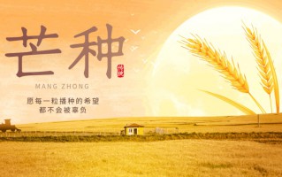 今日芒种：仲夏开始，收获可期
