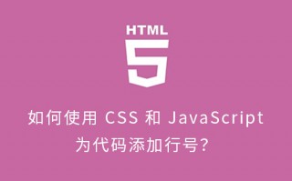 如何使用 CSS 和 JavaScript 为代码添加行号？