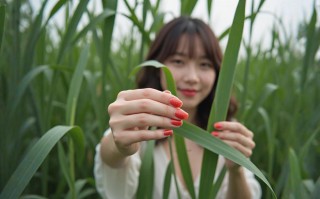 胭脂果染红的爱情