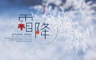今日霜降：恍然暮秋至，静候冬日来