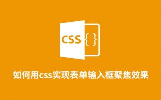 如何用css实现表单输入框聚焦效果