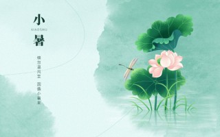 今日小暑：觅一方清凉，守一寸光阴