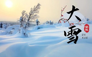 今日大雪：雪纷飞，仲冬始