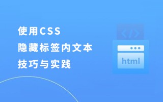 使用CSS隐藏标签内文本的技巧与实践 使用CSS隐藏标签内文本的技巧与实践