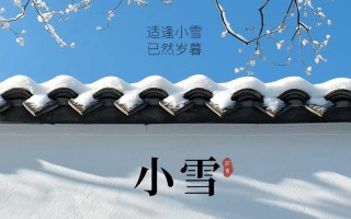 今日小雪：雨凝为雪，地气冻结