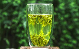 为何不建议用茶水送服药物