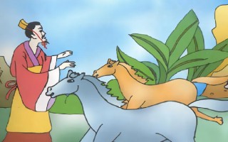 塞翁失马