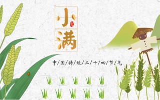 今日小满：微雨过，小荷翻，初夏至