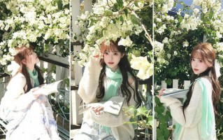 春天三角梅拍照，新手也能拍的治愈感写真