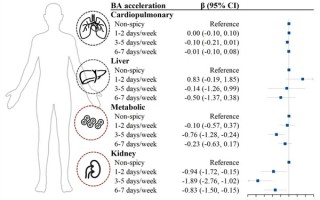 爱吃辣的人有福了 研究证实：吃它可能更长寿
