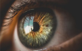 中国科学家发明夜视隐形眼镜：闭眼也能看清黑暗中的物体