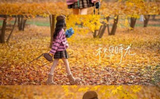 枫叶林不露脸写真｜8个姿势解锁秋日氛围感大片