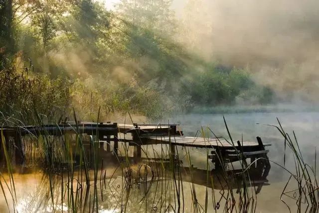 秋冬多雾天气，如何拍出氛围感大片-第3张图片-风享汇