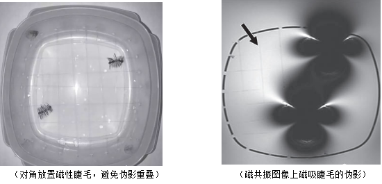 那些总戴假睫毛的人，现在都怎么样了？-第5张图片-风享汇