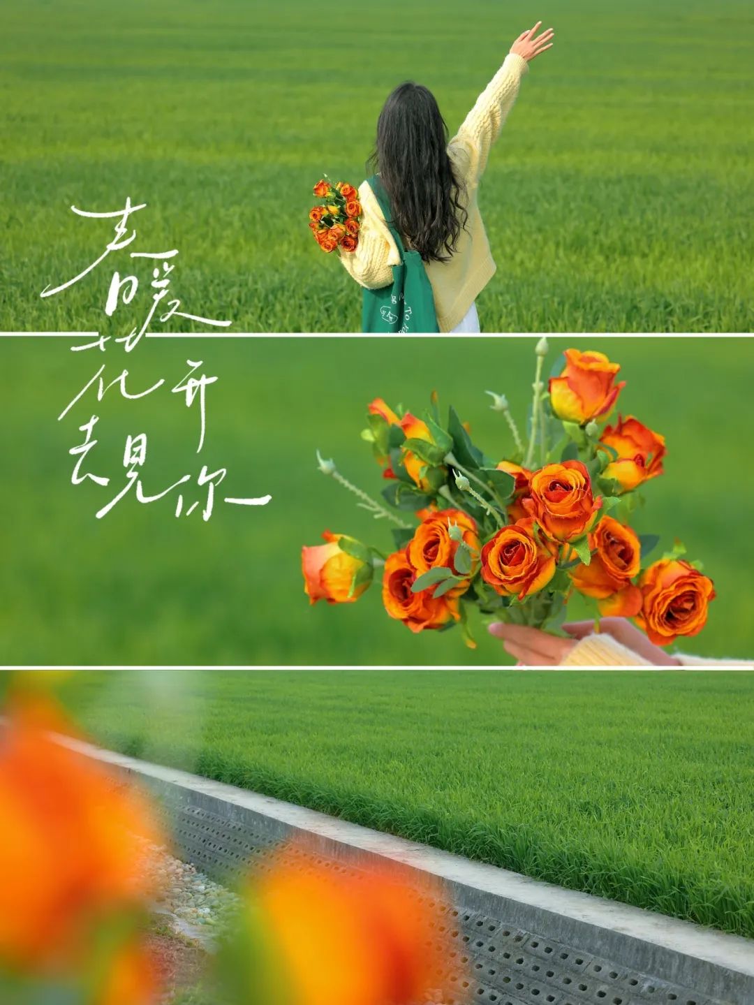 在春日麦田里,用9个姿势拍出满屏文艺感-第5张图片-风享汇 在春日麦田里,用9个姿势拍出满屏文艺感-第5张图片-风享汇
