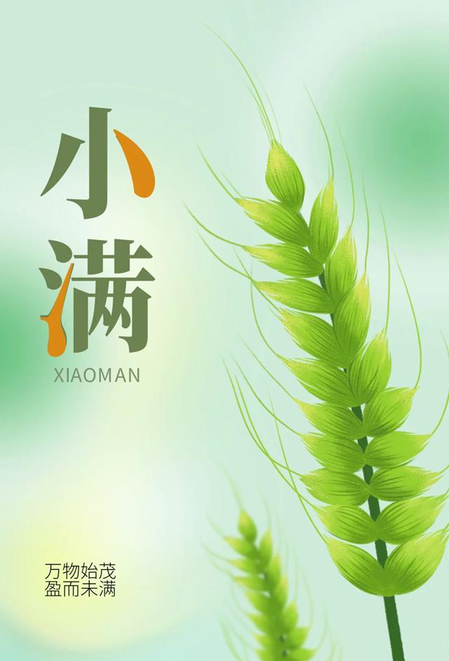 今日小满：微雨过，小荷翻，初夏至-第1张图片-风享汇