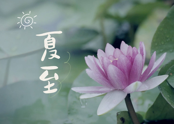 今日夏至：盛夏，如约而至-第1张图片-风享汇