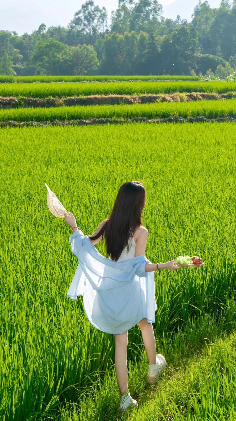 稻田拍照太出片！7 个摆姿技巧，轻松 get 清新田园风大片-第8张图片-风享汇