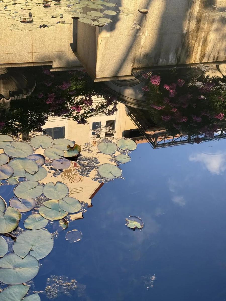 法式花境这样拍，秒变学院风浪漫小仙女-第9张图片-风享汇