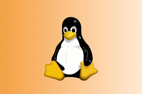 如何在Linux中限制用户命令执行?-第1张图片-风享汇 如何在Linux中限制用户命令执行?-第1张图片-风享汇