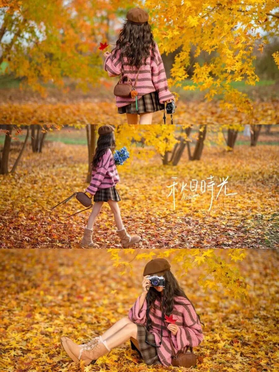 枫叶林不露脸写真|8个姿势解锁秋日氛围感大片-第1张图片-风享汇 枫叶林不露脸写真|8个姿势解锁秋日氛围感大片-第1张图片-风享汇
