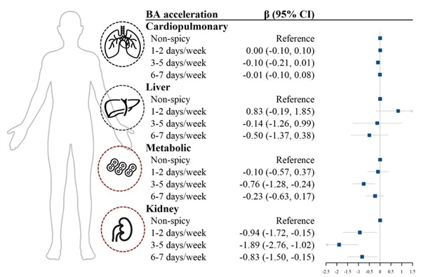 爱吃辣的人有福了 研究证实:吃它可能更长寿-第1张图片-风享汇 爱吃辣的人有福了 研究证实:吃它可能更长寿-第1张图片-风享汇
