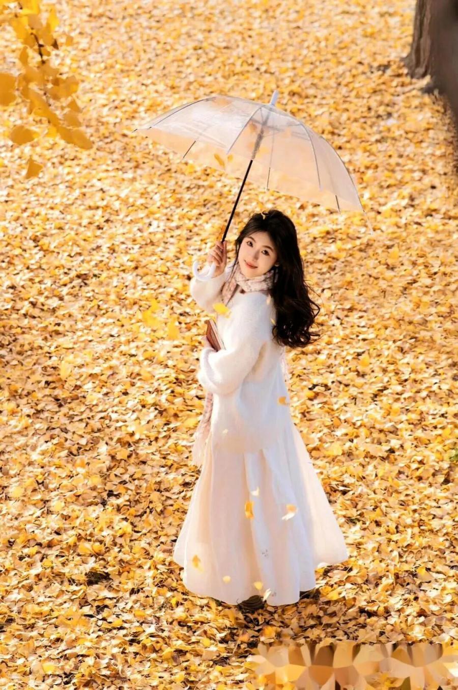 银杏林拍照｜6 个绝美Pose，拍出秋日氛围感大片-第3张图片-风享汇