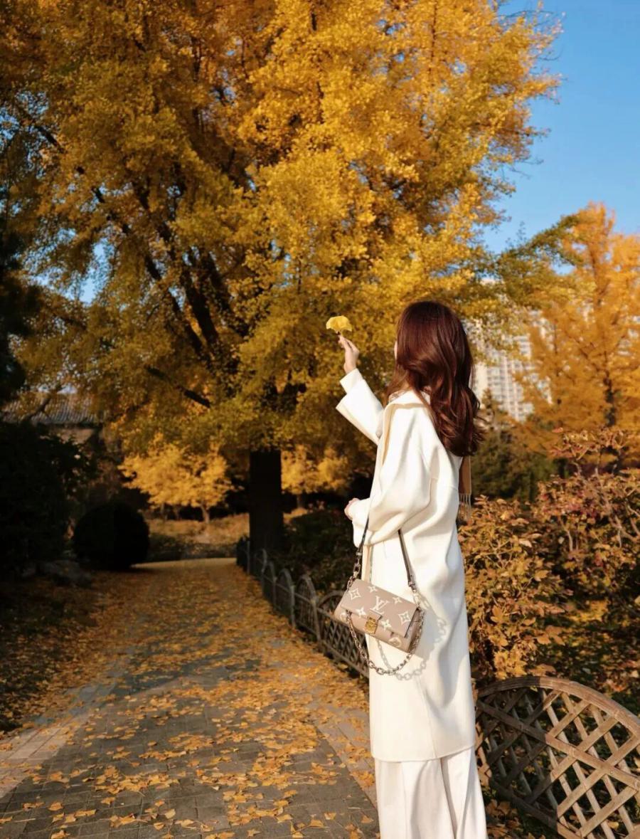 公园暖调:10个松弛感姿势,轻松拍出温柔氛围-第11张图片-风享汇 公园暖调:10个松弛感姿势,轻松拍出温柔氛围-第11张图片-风享汇