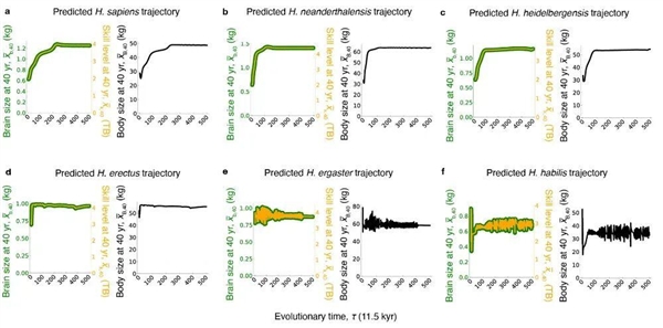 人类的大脑其实只利用了10%?真的假的-第2张图片-风享汇 人类的大脑其实只利用了10%?真的假的-第2张图片-风享汇