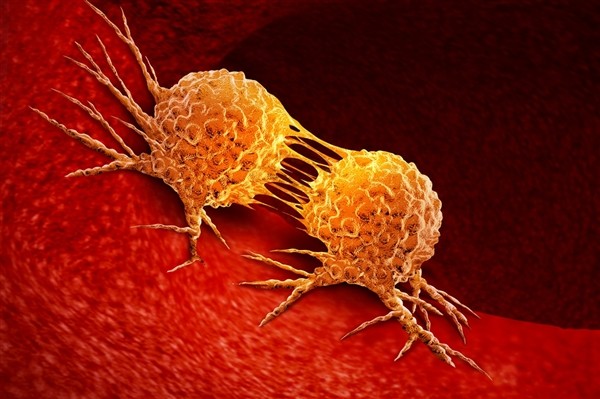 霉菌这种致癌物藏在家里:很多人浑然不知-第1张图片-风享汇 霉菌这种致癌物藏在家里:很多人浑然不知-第1张图片-风享汇