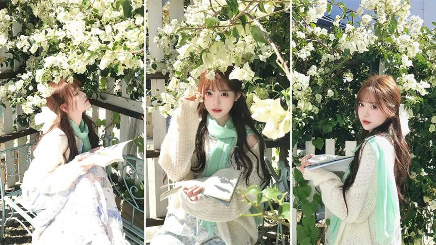 春天三角梅拍照，新手也能拍的治愈感写真-第1张图片-风享汇