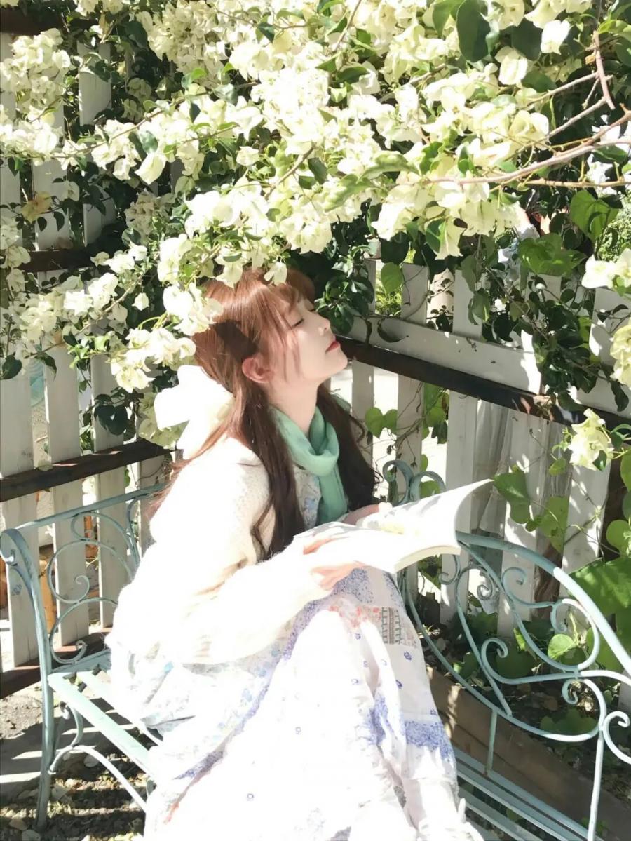 春天三角梅拍照，新手也能拍的治愈感写真-第3张图片-风享汇