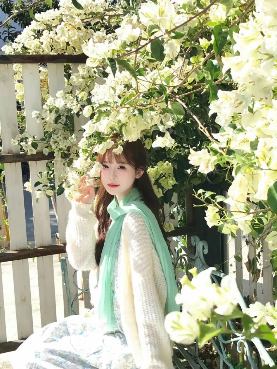 春天三角梅拍照，新手也能拍的治愈感写真-第5张图片-风享汇