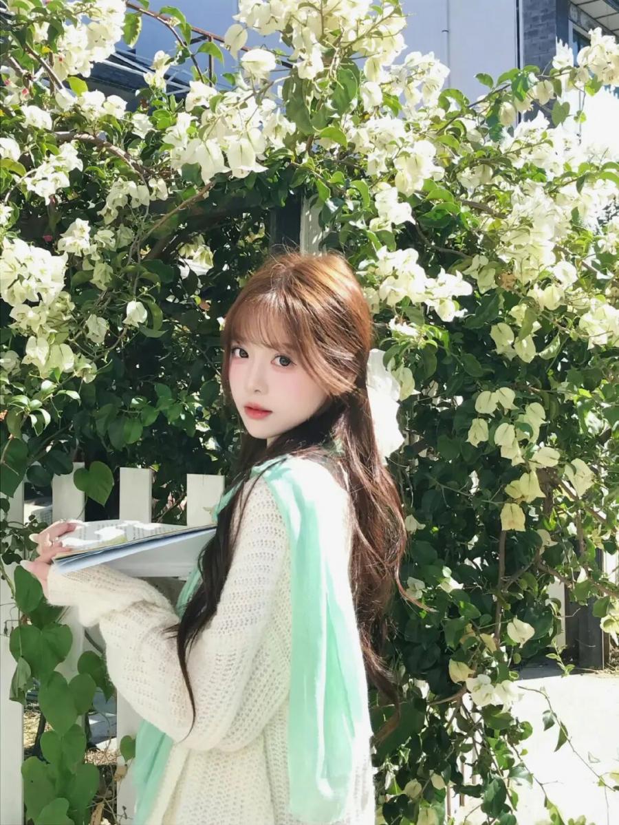 春天三角梅拍照，新手也能拍的治愈感写真-第8张图片-风享汇