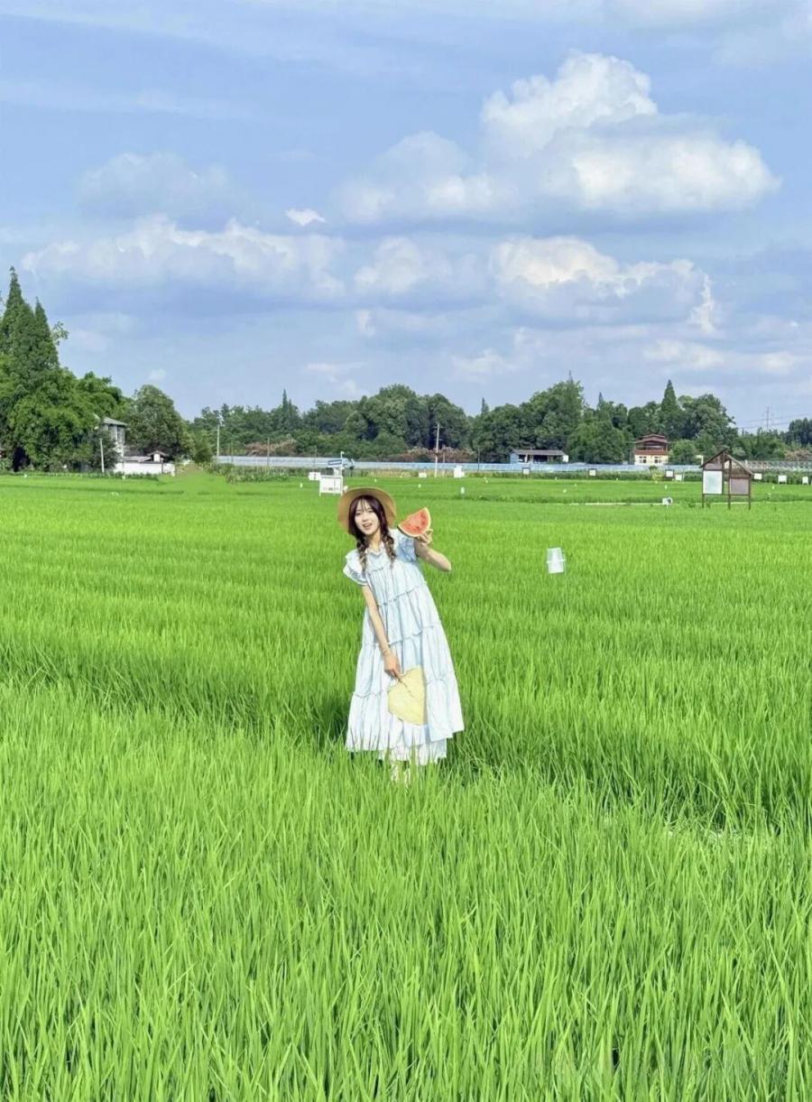 带着西瓜去田野，拍出元气满满的夏日美照-第4张图片-风享汇