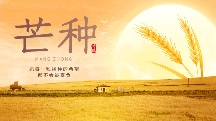 今日芒种：仲夏开始，收获可期-第1张图片-风享汇